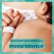 PAMPERS Chusteczki nawilżane Harmony New Baby Plastikowe Bezpłatnie 24x46 szt