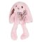 Doudou Histoire d'Ours Knuffel roze konijntje 25 cm