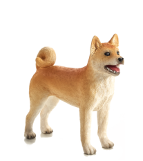 Mojo Pes shiba-inu