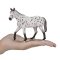 Mojo Appaloosa armăsar