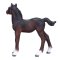 Mojo Hanoverian Foal Bay