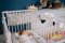 TRUELIFE Babyphone vidéo numérique NannyCam R4 Pro