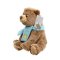 Rainbow Wir gehen auf Bärenjagd Teddybär