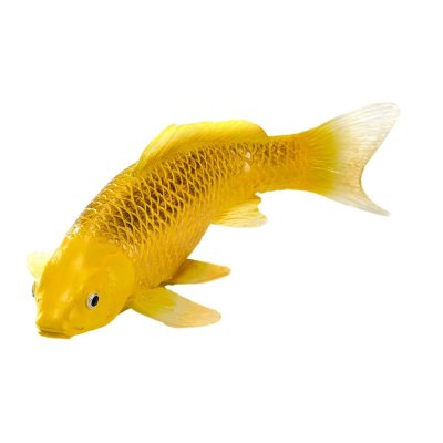 Mojo Carpa koi kin matsuba