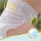 PAMPERS Premium Care Windelhöschen Größe 4 (9-15 kg) 114 Stk