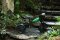 QPLAY Dreirad Triduro Green, Alter 2-6 Jahre