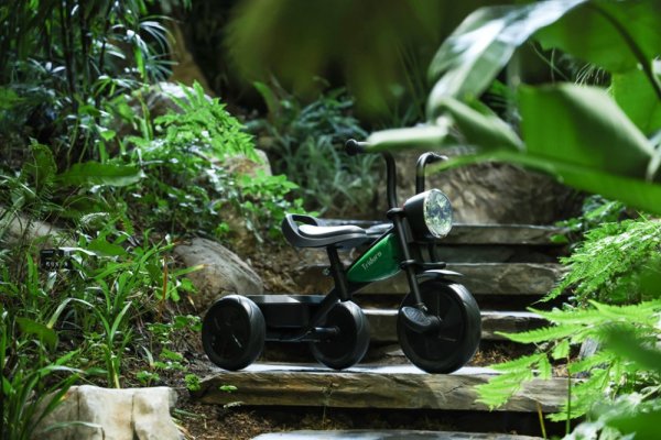 QPLAY Dreirad Triduro Green, Alter 2-6 Jahre