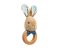 Rainbow Rassel Hase Peter