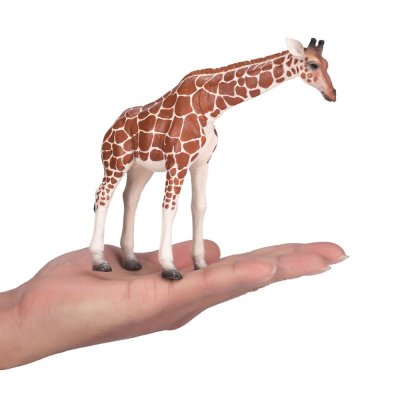 Mojo Giraffa femmina