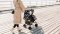 LIONELO Buggy Elia Oslo