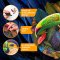 EscapeWelt Drewniane puzzle Tukan 200 elementów