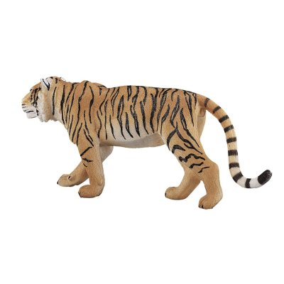 Mojo Tygrys bengalski
