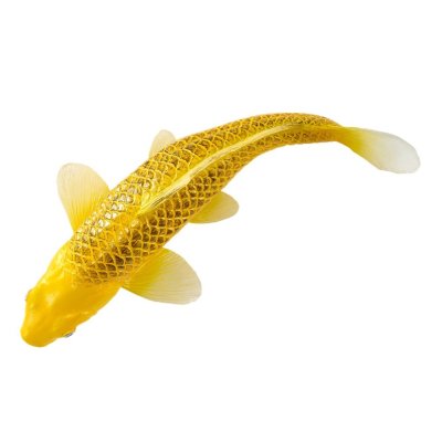 Mojo Carpa koi kin matsuba