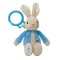 Rainbow Stretch Wiggling Peter Rabbit