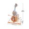 RoboTime 3D-Holzpuzzle Spieluhr Magisches Cello farbig (mechanischer Antrieb)