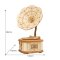 RoboTime 3D houten modelbouwpakket Antieke grammofoon