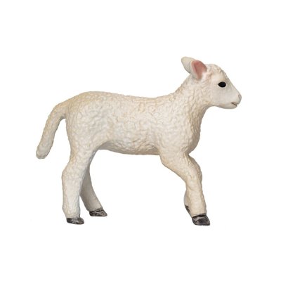Mojo Romney Marsh Lamm laufend