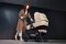 KINDERKRAFT Kinderwagen kombiniert 3 in 1 Newly Classic schwarz + Mink PRO