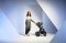 MUUVO SET Barnvagn 4i1 Quick SE 2 Diamond graphite set + CBX By CYBEX Aton B2 i-Size + bas