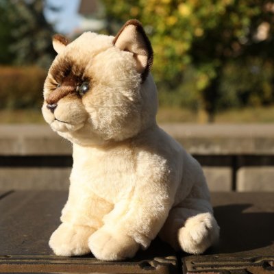 Rappa Plyšová kočka Ragdoll 23 cm SOFT COLLECTION, ECO-FRIENDLY