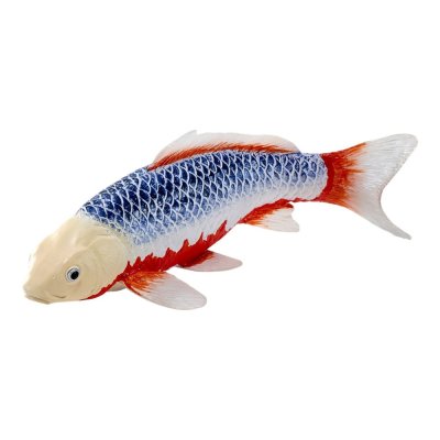 Mojo Kapr koi asagi