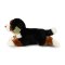 Rappa Plysch Berner Sennenhund liggande 30 cm ECO-FRIENDLY