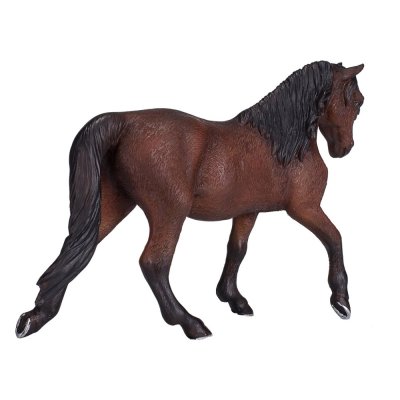 Mojo Morgan Horse Brown