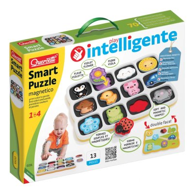 Quercetti Joc magnetic de sortat