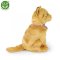 Rappa Gato de peluche rojo 25 cm ECO-FRIENDLY