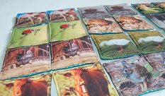 MyMoo Fabric Memory Game - Set of 16 Pairs - Animals, Bundle
