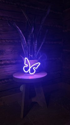 2Kids Toys LED NEON LIGHT lampa Fjäril