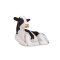 Mojo Holstein Kalv som ligger