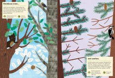 Chronicle Books Knjiga aktivnosti sa naljepnicama my nature U šumi
