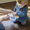 BABY EINSTEIN Opus's Shape Pops ™ 3m + Senozoric rattle and teether toy