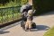 EASYWALKER SET Kinderwagen 4in1 Harvey⁵ Pebble Grey XXL RWS + CYBEX Aton B2 i-Size