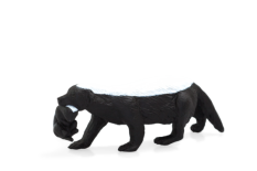 Mojo Ratel z młodym