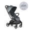 EASYWALKER Sportwagen Rockey M Smooth Grey