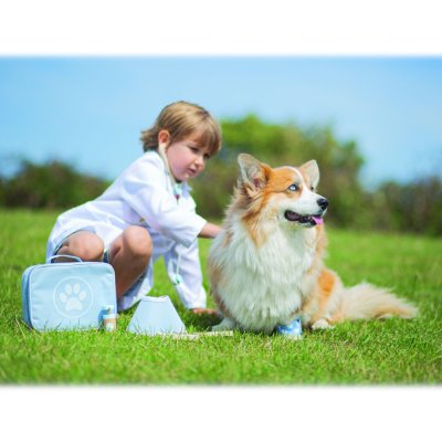 Bigjigs Toys Zestaw weterynaryjny