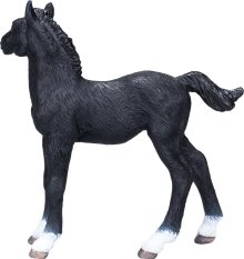 Mojo Hannover Potro Negro