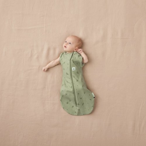 ERGOPOUCH Σφουγγάρι και υπνόσακος 2 σε 1 Cocoon Willow 3-6 m, 6-8 kg, 0,2 tog