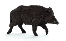 Mojo Wildschwein
