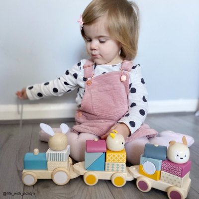 Bigjigs Baby Comboio de Madeira com Animais