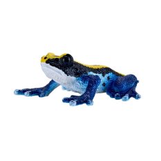 Mojo Dendrobates tinctorius