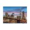 Dino Puzzle New York Neon 1000 Teile