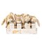 Rainbow Devine combien je t'aime ! Lapin