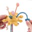 PETITE&MARS Silicone sensory toy Crazy planet Intense Ocher 10m+