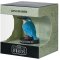 Mojo Common Kingfisher in a box
