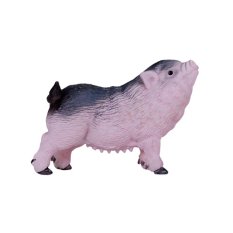 Mojo Hängebauchschwein Ferkel