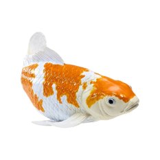 Mojo Kapr koi ochiba shigure