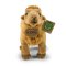 Rappa Pluche kameel 24 cm ECO-FRIENDLY